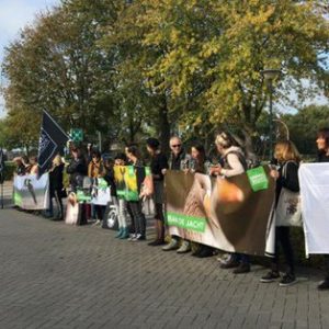 Protest tegen (hobby)jacht in Hoeksche Waard